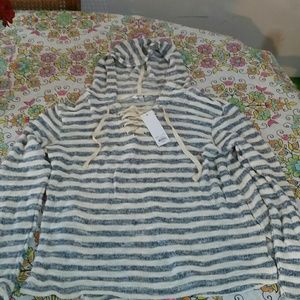 NWT blue and cream stripe hoodie